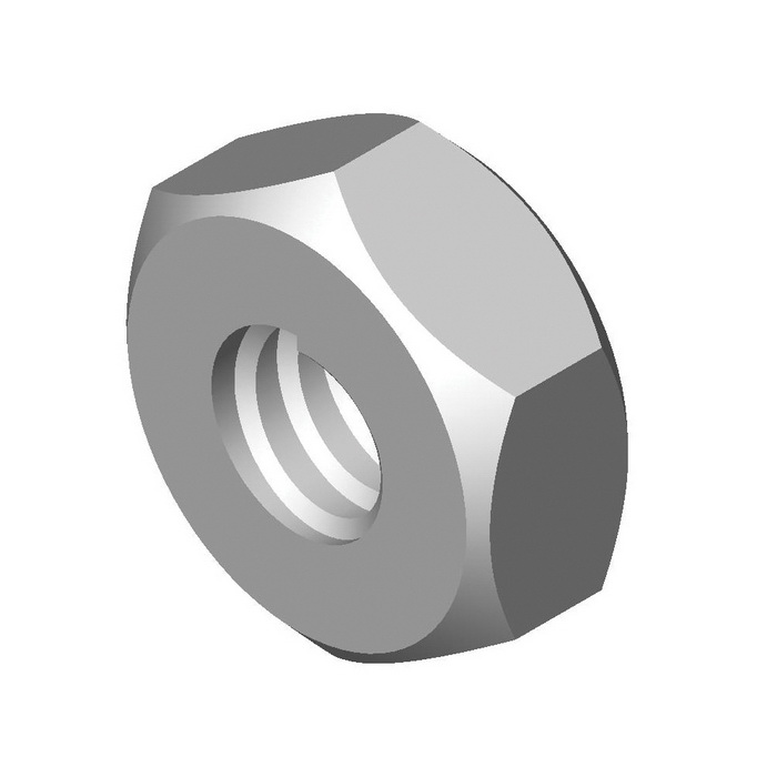Hex Nut